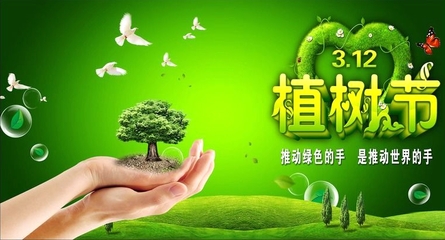 植树护绿,保护环境,美化人生